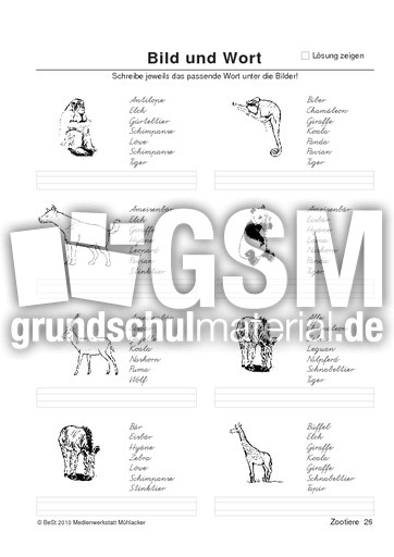 BuW Zootiere26.pdf